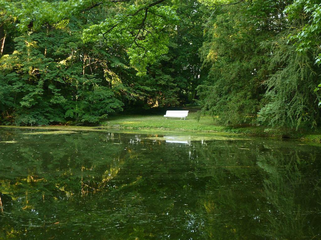 Bed and Breakfast Chateau De Vesset Treteau Экстерьер фото